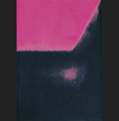 Andy Warhol Shadows I